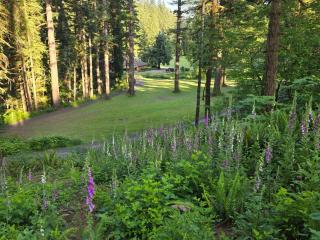 Kanati Falls Ranch - 3