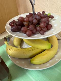 Tauchbasis Stechlin - 8