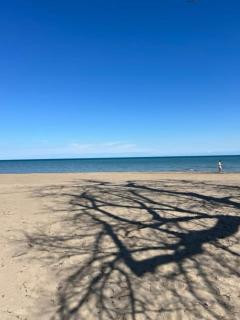 Cozy Woodland Bunkie Outdoor Shower WiFi - 6