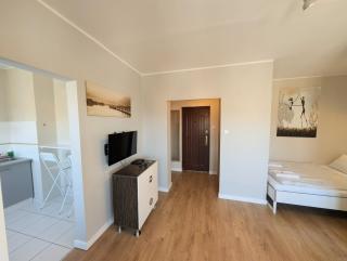 Karlik moj-sopot pl - Sopot - 8