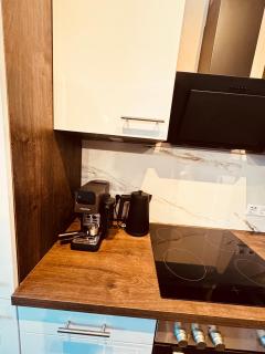 ElbSuite 3 Raum, 70qm, Altstadt und Neustadt 10 Minuten zu Fuß - 5