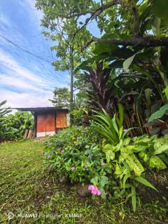 finca la esmeralda - 8