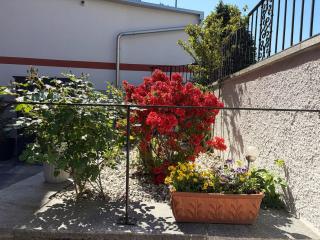 Ca' dal Bagatt Losone Campagna - Losone - 1
