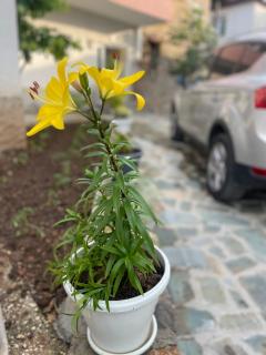 Vila Du Lac Blue - 5