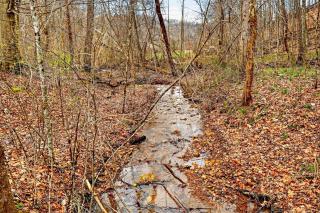 Creekside Hideaway - 5