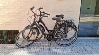 Privé studio in groene omgeving van Brugge gratis fietsen & parkeerplaats - Bruges - 1