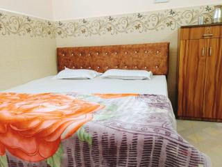 Green Building Deluxe 1BHK & 2BHK Apartment Ac WI-FI Viila - 2