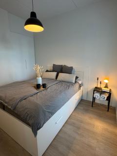 New 42 square feet two bedrooms with sauna for six - 1