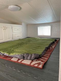 Salt Springs Cozy Cottage - 8
