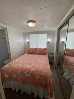 Salt Springs Cozy Cottage - 3
