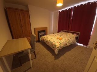 Spacious and Elegant Home for families and Contractors !! - 1