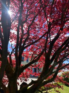 Riverbank Apartment - 9