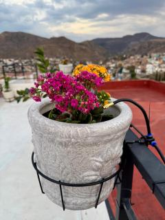 Vivencia GTO 4BR Rooftop w Private Garage 15m Dtwn - 4