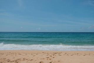 InterContinental Hotels Grenada - La Sagesse by IHG - 9