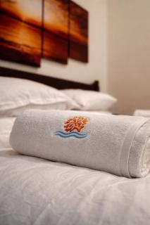 Suncoral Maldives - 6