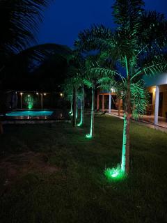 The Jungle, Guriú, CE - 5