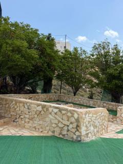 Luxury Mountain Chalet with Private Pool Lionden Jerash - Jerash - 5
