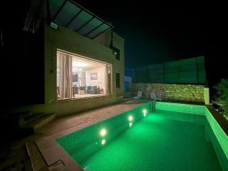 Luxury Mountain Chalet with Private Pool Lionden Jerash - Jerash - 8