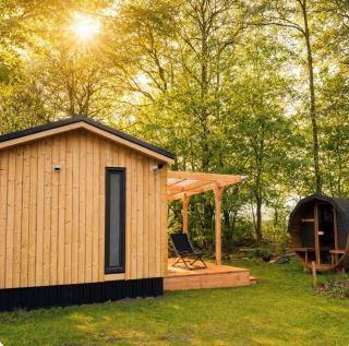 The Wellness View! - 0