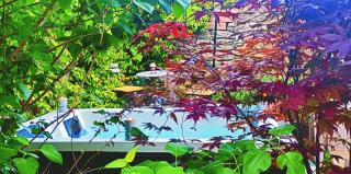 Séjour Détente avec son spa privatif proche de la Cité de Carcassonne et du Canal du Midi - 0