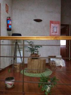 Casa Rural El Montaraz de Gema - 4