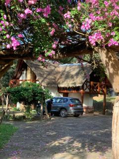 Valle Verde Lodge - Bosque - 1