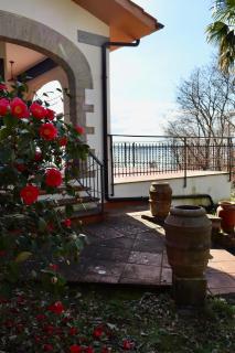 Turona Green Retreat - 4