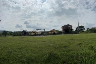 Luxury Tiny House Ranch Design - 7