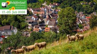 Gemütliche Wohnung im Schwarzwald in Wildberg - Wildberg - 7