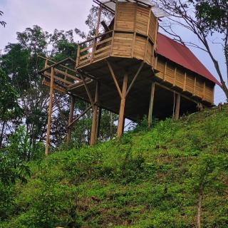 Finca La Cabaña Cisneros ANT - 7