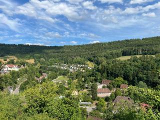 Gemütliche Wohnung im Schwarzwald in Wildberg - Wildberg - 5