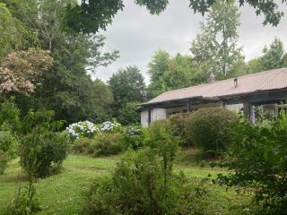 Bramber Cottage Hogsback, Living With Joy! - 9