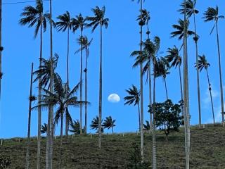 Salento verde - 0