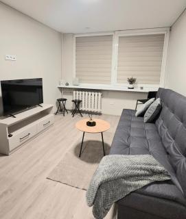 Algirdo Apartments 3 - 7