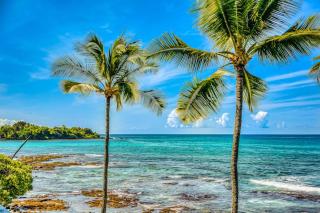 Kona Bali Kai - 3