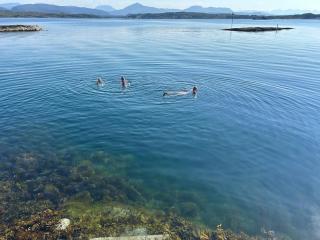 Sveggvika Atlantic Home - 6