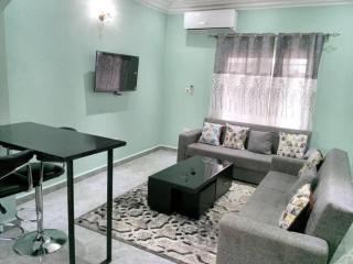 Lantana Luxury Apartment - 7