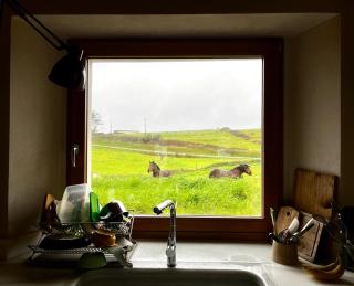 La Clementina Guest House - 9