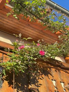 Guesthouse Sabine - pr` Skminc - Bohinjska Bela - 2