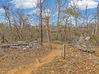 Mid-Mod-Sauna & Hot Tub-Walk to Downtown-On MTB - 5