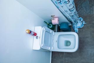 Spring's Collection - 3