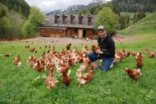 Farmhouse- Bed and Breakfast Kösslergut - 3