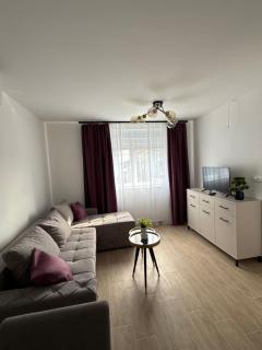 Apartmani Saponjic - 1