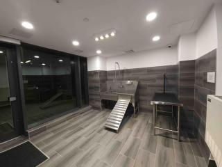 Stylish and Cozy in DT Kitchener & Uptown Waterloo - 2