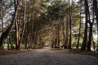 Boquete Volcano View Retreat La Piedra del Gallo - 7