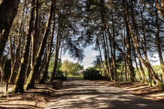 Boquete Volcano View Retreat La Piedra del Gallo - 4