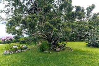 Boquete Volcano View Retreat La Piedra del Gallo - 1