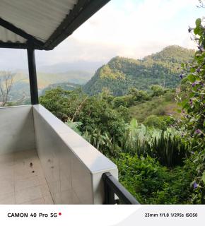 Finca villa Verónica - 3