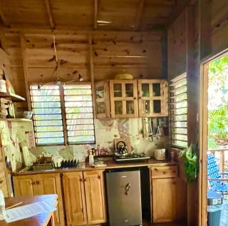 Real Jamaica - 5 Cabins right beside the sea - 6