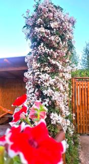 Casa Happy Holiday - 6